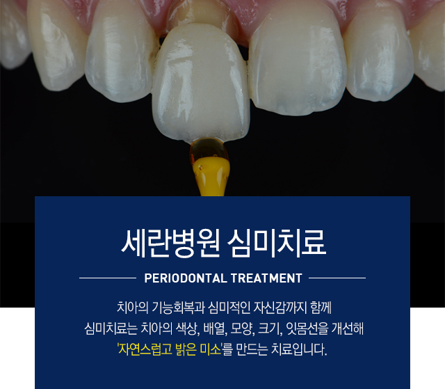 심미보철